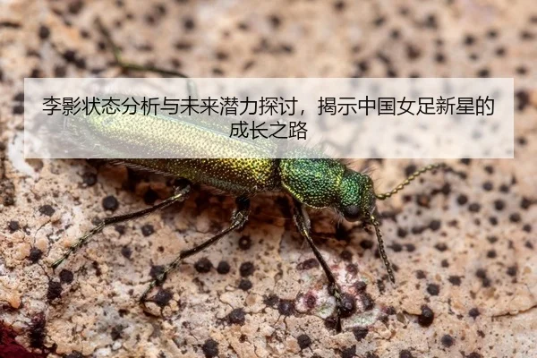 li-ying-zhuang-tai-fen-xi-yu-wei-lai-qian-li-tan-tao-jie-shi-zhong-guo-nv-zu-xin-xing-de-cheng-zhang-zhi-lu-2-182.jpg