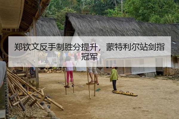郑钦文反手制胜分提升，蒙特利尔站剑指冠军