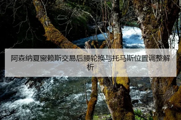 阿森纳夏窗赖斯交易后腰轮换与托马斯位置调整解析